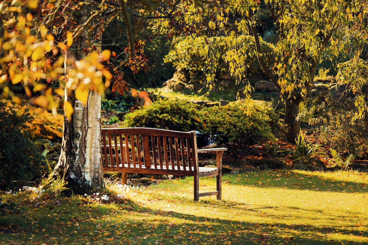 Banc vide dans un parc, deuil